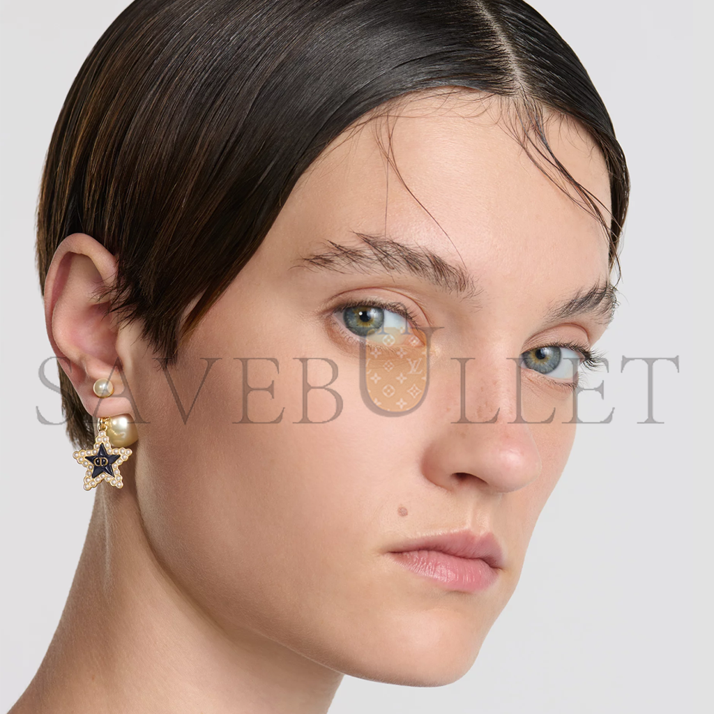 DIOR TRIBALES EARRINGS E3666WOMVE_D92B